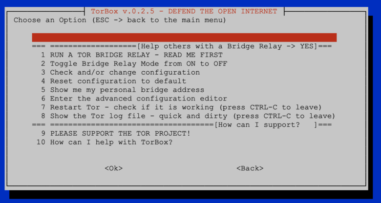 tor bridge relay setup